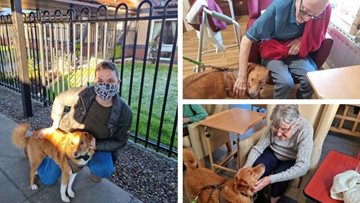 Pet Therapy volunteers brighten up Residents day
